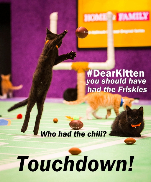 #kittenbowl 2015- Friskies #dearkitten