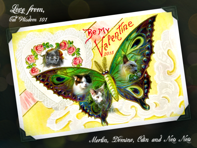 Vintage valentine butterfly