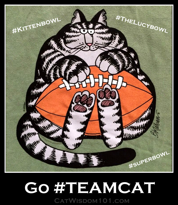 #teamcat #Thelucybowl