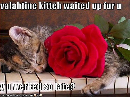 funny valentine kitteh