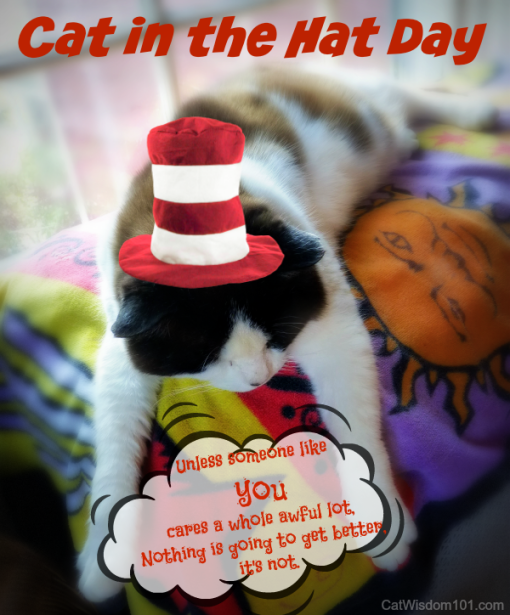 Quote-cat-dr.seuss-cat in the hat day