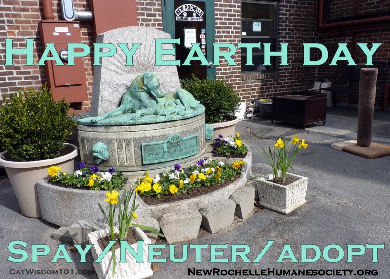 New Rochelle Humane Society-Earth Day