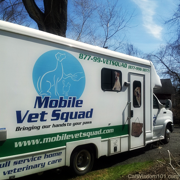 mobile vet squad-Rich Goldstein DVM