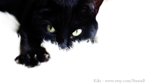 Kiki black cat etsy