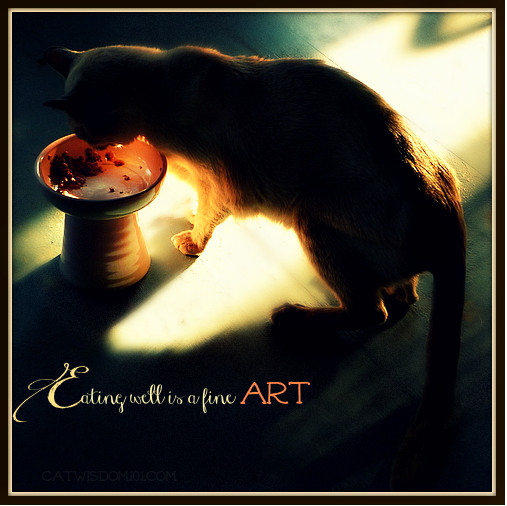cat art quote eating well
