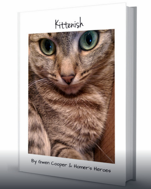 Kittenish book