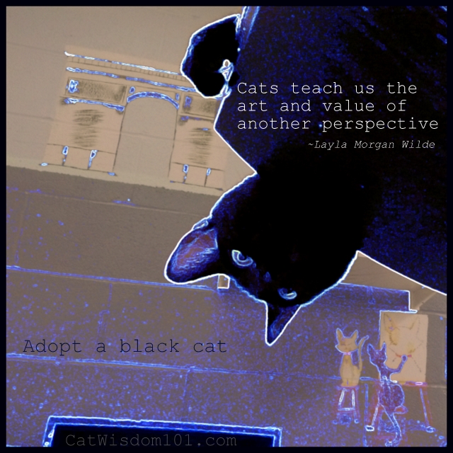 black cat adoption art quote