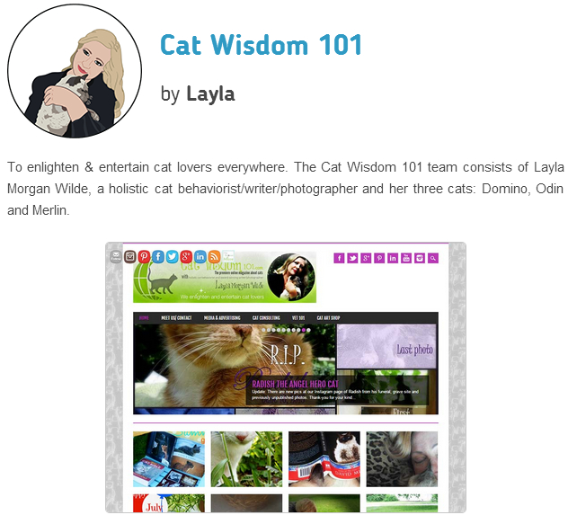Cat Wisdom 101- best pet blog- Layla Morgan Wilde