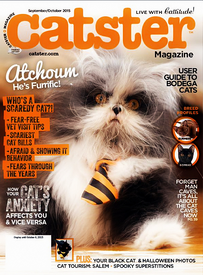 Catster magazine cover Fall 2015 september/october
