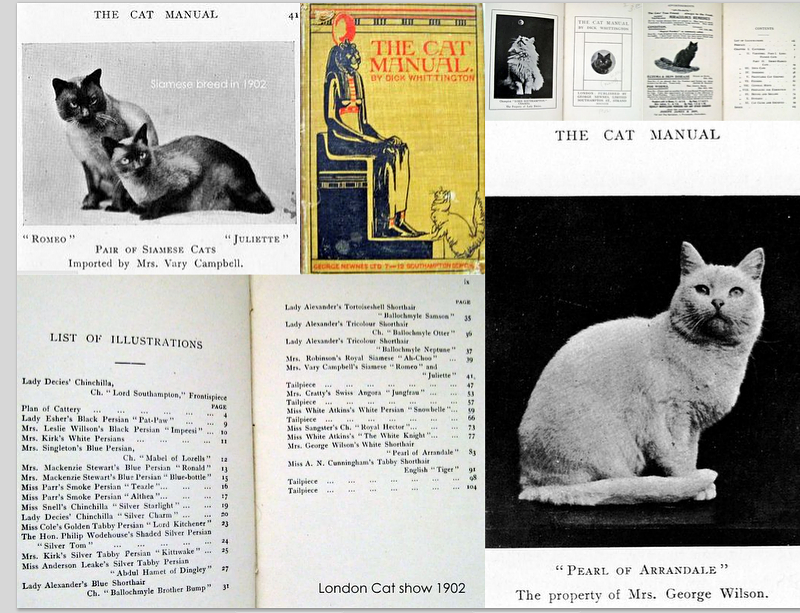 London Cat show 1902-cat manual