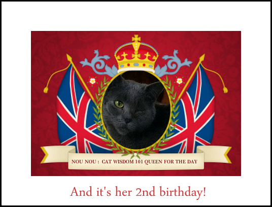 Nou Nou queen of the day birthday cat