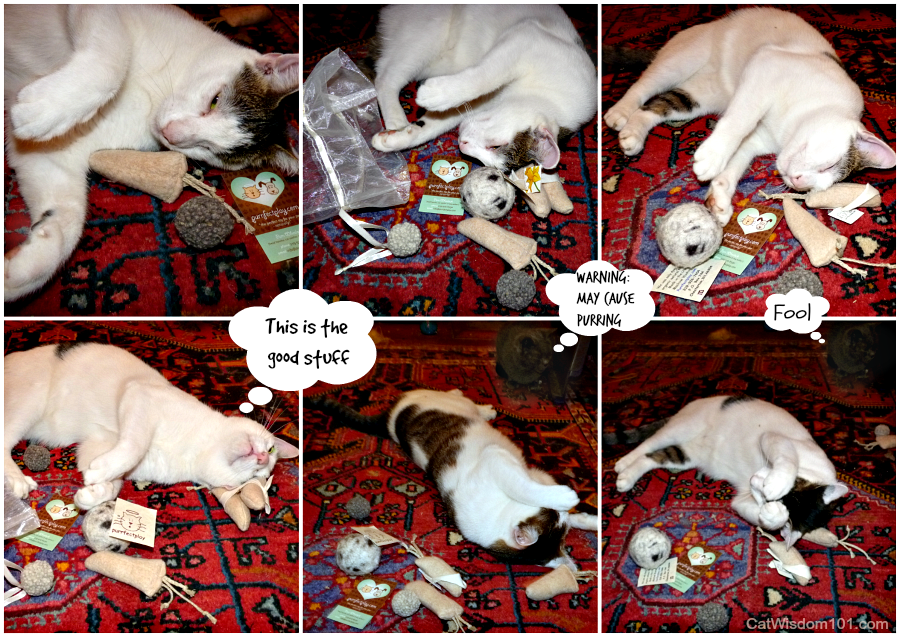 Purrfectplay Collage catnip toys