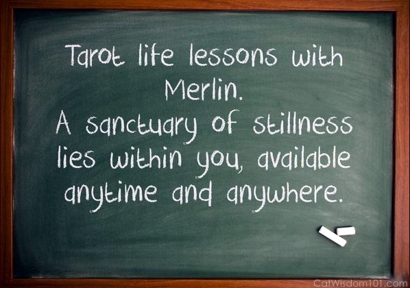 tarot lesson blackboard quote