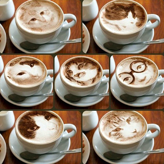 cat art coffee latte