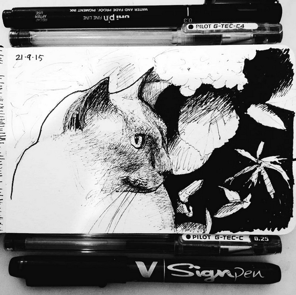Merlin cat drawing instagram