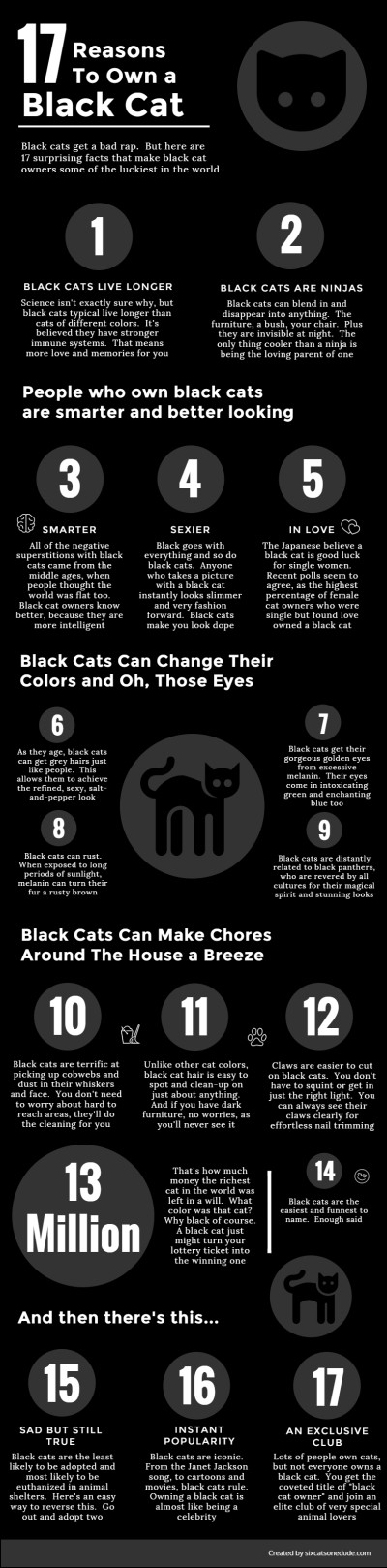 17-reasons-black-cat-