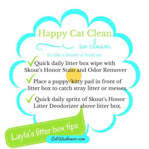 Layla's litter box tips scout's honor