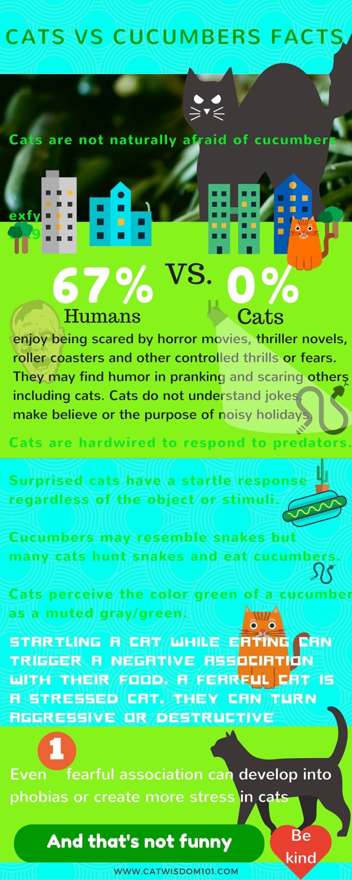 Cats VS Cucumber Facts infographic