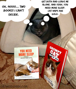 Chronicle books_grumpy cat_you need more sleep