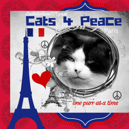 #cats4peace