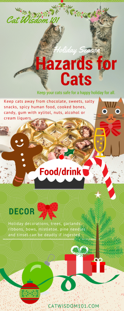 holiday_hazards_cats_infographic