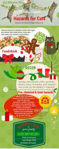 holiday hazard for cats infographic