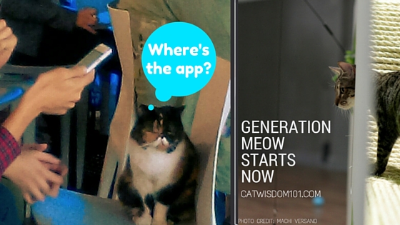 Millennial_generation_ meow_ quote