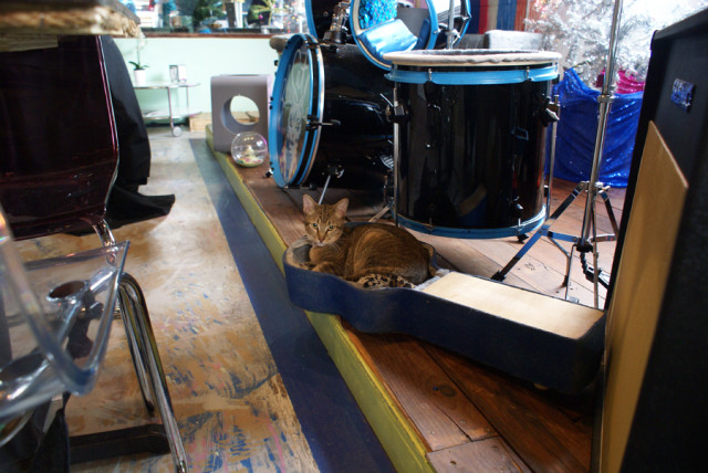 Blue-Cat-Cafe-guitar