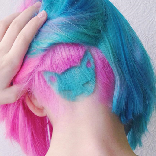 rainbow_cat_haircut 