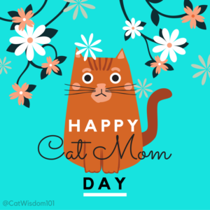 cat moms