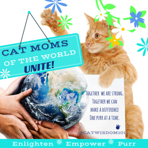 A Purrfect Mother’s Day For Cat Moms Cat Wisdom 101