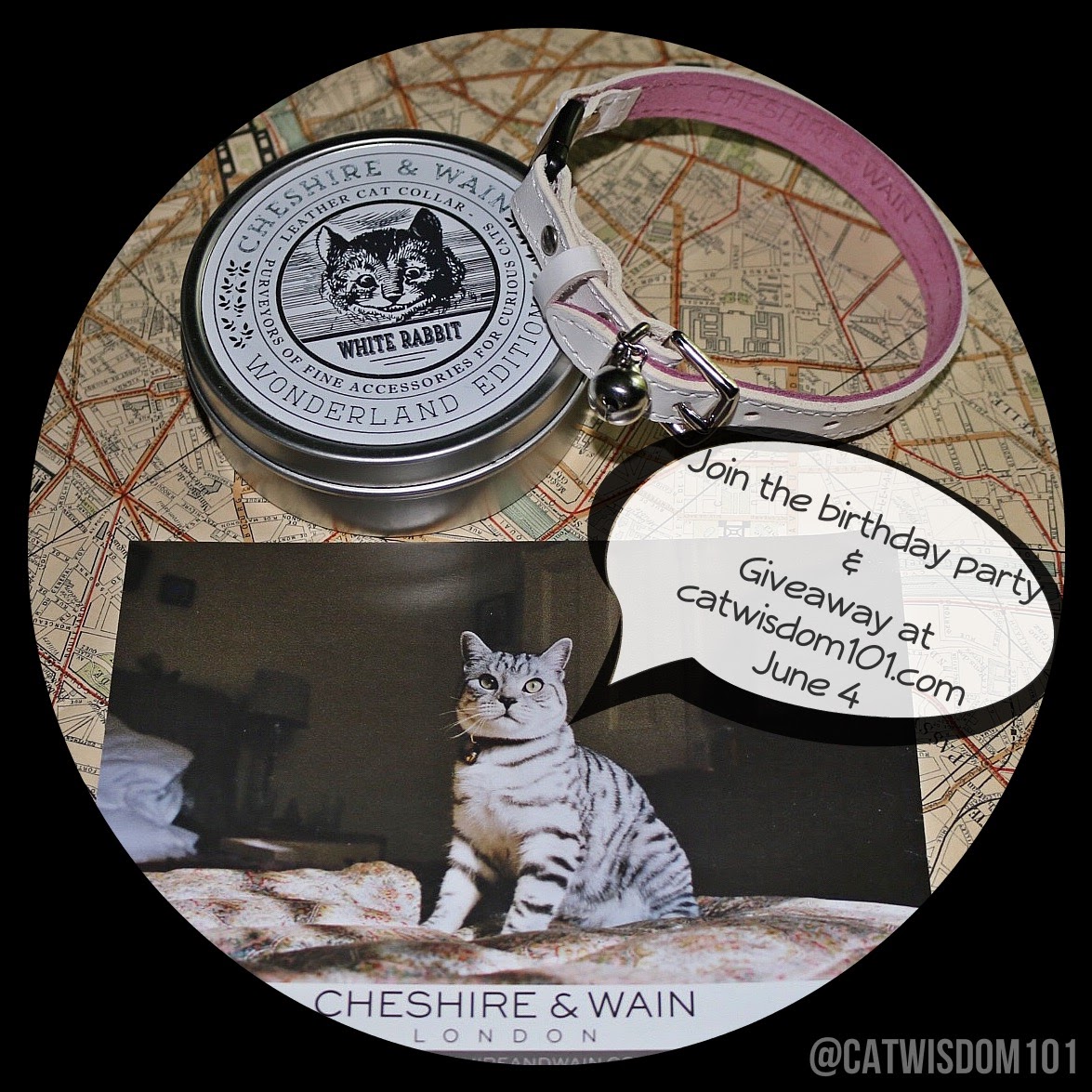 cheshire and wain cat collar