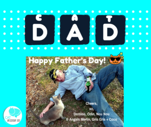 Father’s Day cat dad