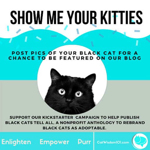 show me your kitties_black cats tell all