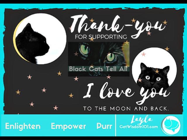 Thank you purrs