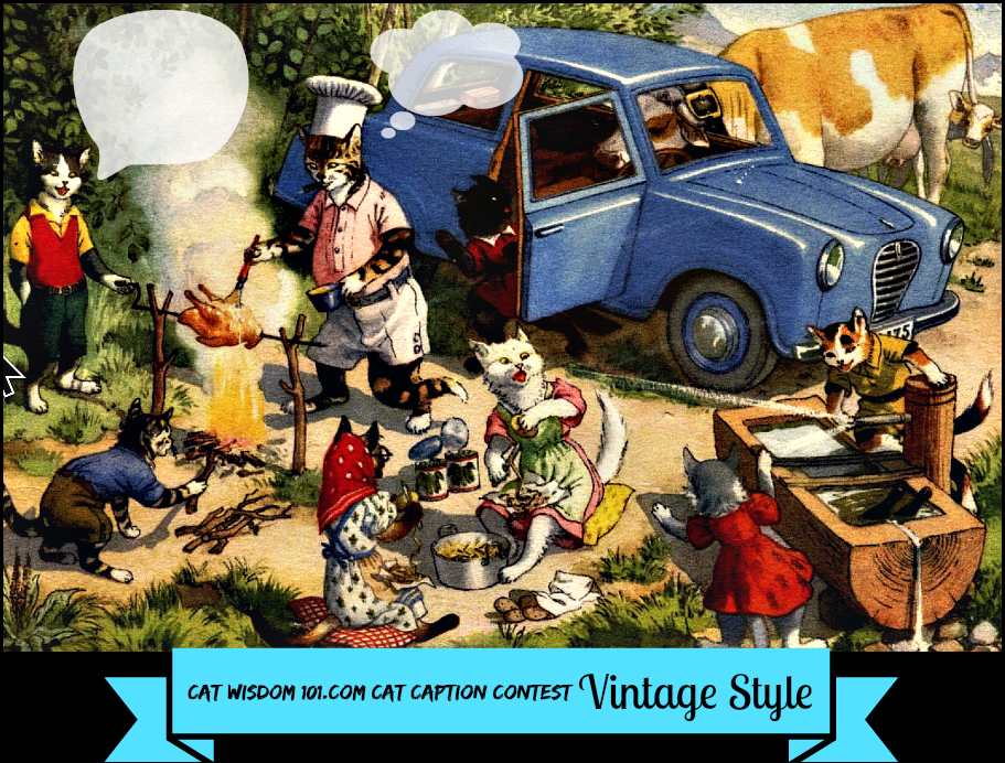 Vintage_cat-caption_contest_picnic