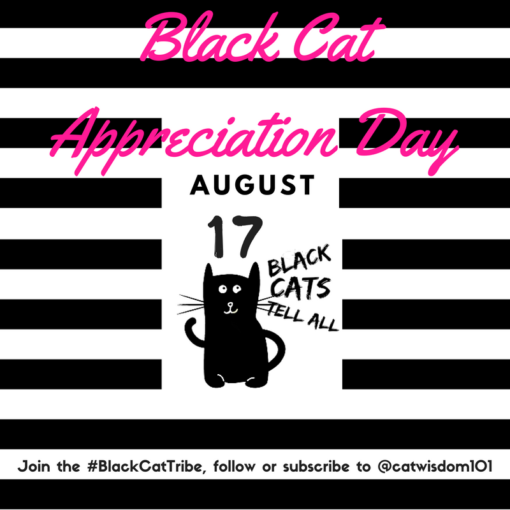 black cat appreciation day-