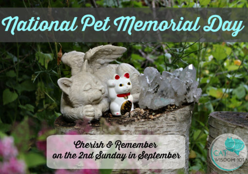 national_pet_memorial_day