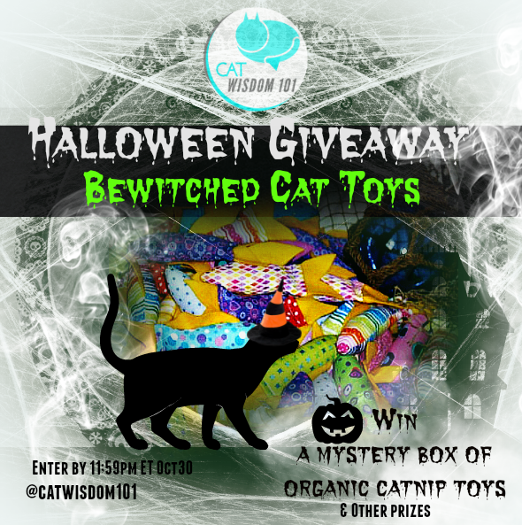 halloween_giveaway_catnip