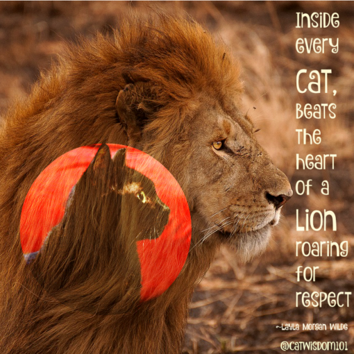 lion_cat_quote
