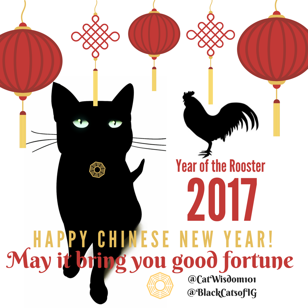 lucky Chinese new year cats