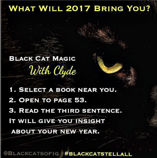 black _cat_magic_2017