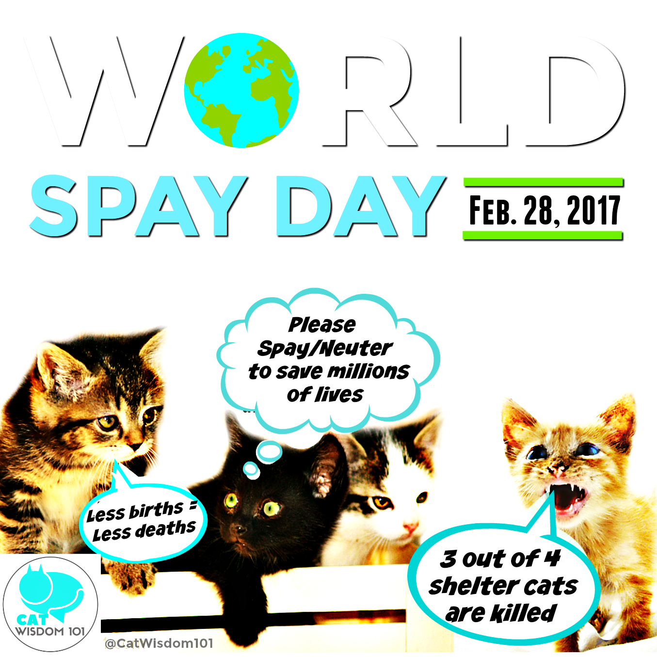  World Spay Day 