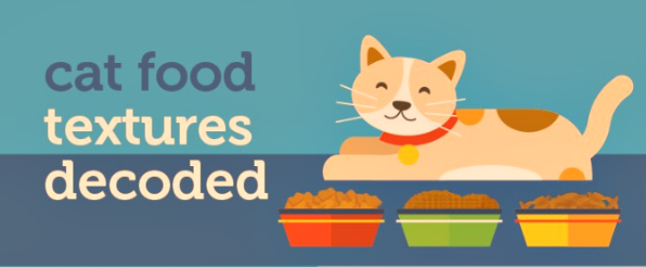 What You Need To Know About Wet Cat Food Options. | Cat Wisdom 101