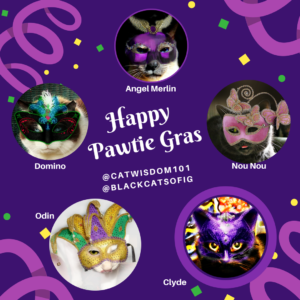 mardi Gras cats pawtie gras