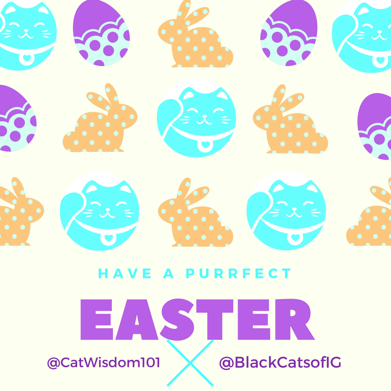 Purrfect easter