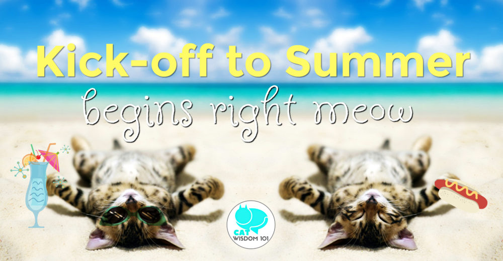 kick of to summer-memorial day cats