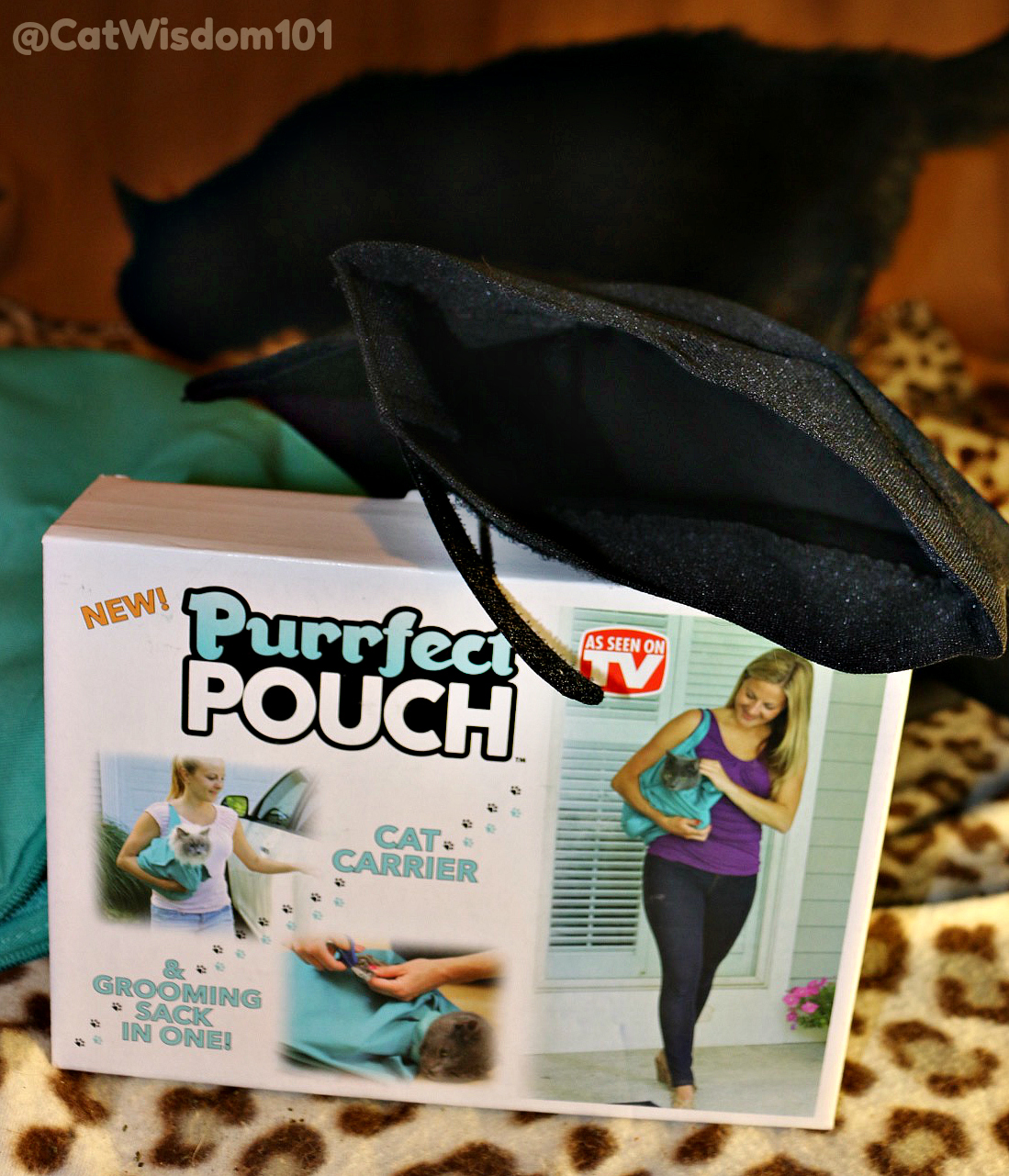 purrfect_pouch