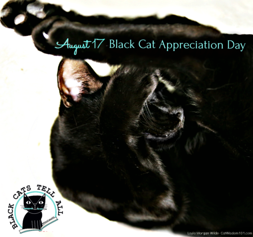 lack-cat_appreciation_day