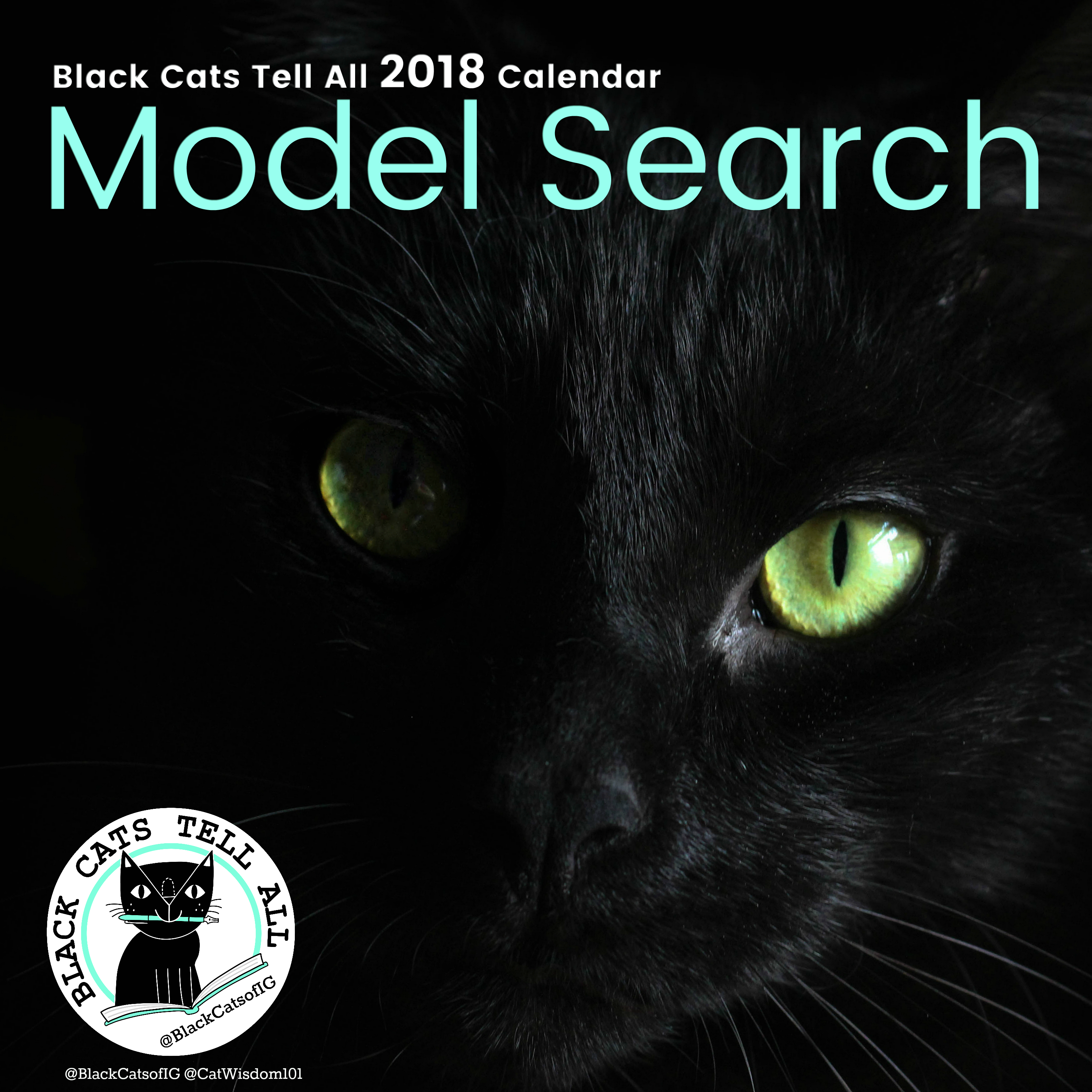Model search